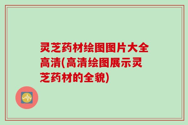 灵芝药材绘图图片大全高清(高清绘图展示灵芝药材的全貌)