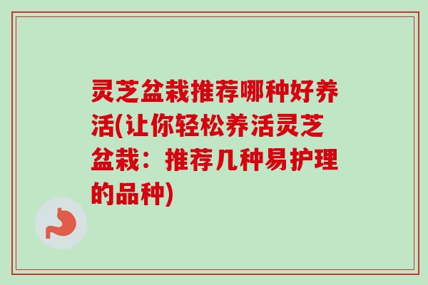灵芝盆栽推荐哪种好养活(让你轻松养活灵芝盆栽：推荐几种易护理的品种)