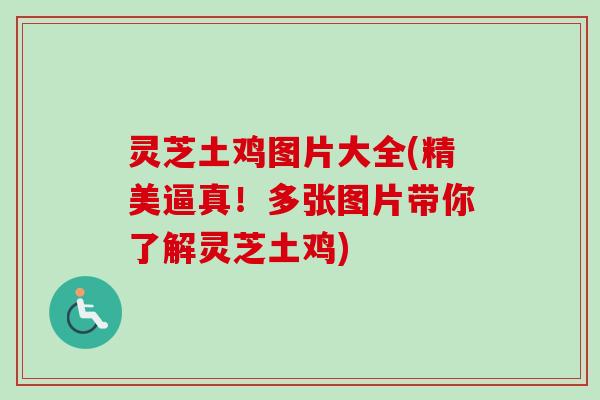 灵芝土鸡图片大全(精美逼真！多张图片带你了解灵芝土鸡)