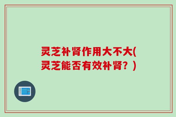 灵芝补肾作用大不大(灵芝能否有效补肾？)