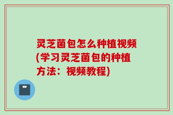 灵芝菌包怎么种植视频(学习灵芝菌包的种植方法：视频教程)