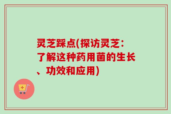 灵芝踩点(探访灵芝：了解这种药用菌的生长、功效和应用)