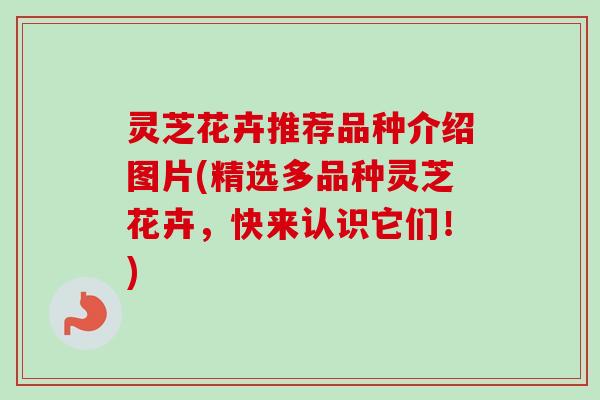 灵芝花卉推荐品种介绍图片(精选多品种灵芝花卉，快来认识它们！)