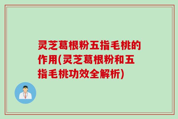 灵芝葛根粉五指毛桃的作用(灵芝葛根粉和五指毛桃功效全解析)