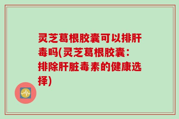 灵芝葛根胶囊可以排肝毒吗(灵芝葛根胶囊：排除肝脏毒素的健康选择)