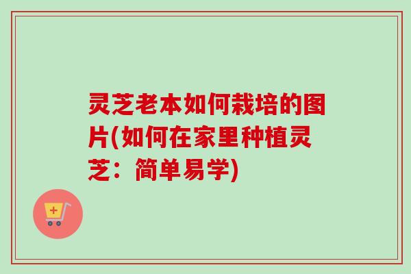 灵芝老本如何栽培的图片(如何在家里种植灵芝：简单易学)