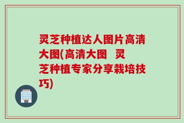灵芝种植达人图片高清大图(高清大图  灵芝种植专家分享栽培技巧)