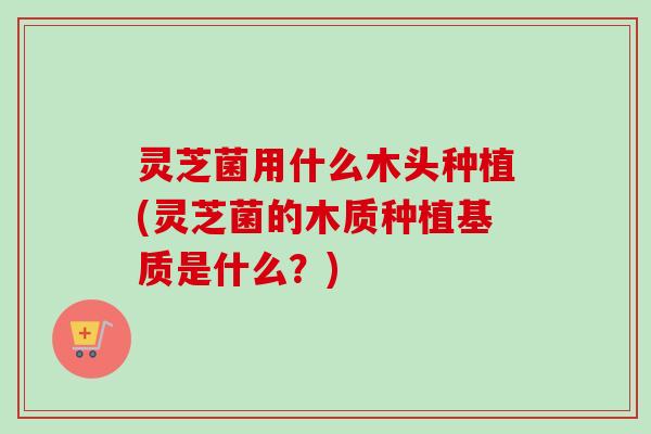 灵芝菌用什么木头种植(灵芝菌的木质种植基质是什么？)