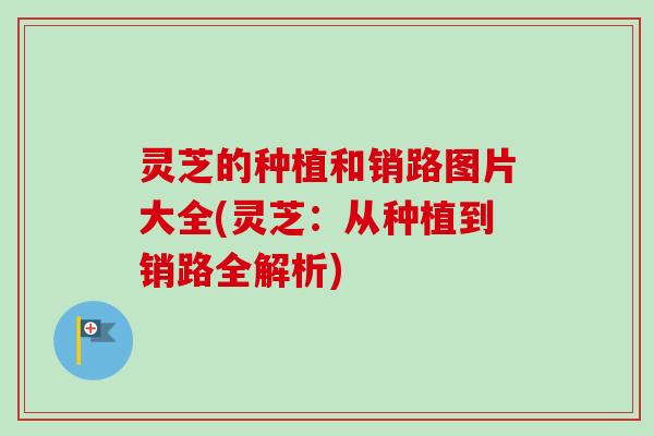 灵芝的种植和销路图片大全(灵芝：从种植到销路全解析)