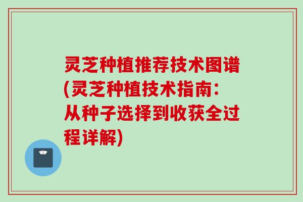 灵芝种植推荐技术图谱(灵芝种植技术指南：从种子选择到收获全过程详解)