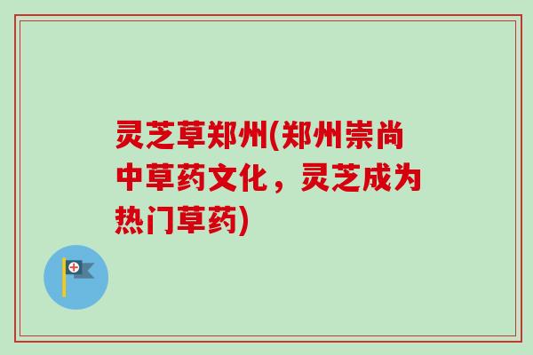 灵芝草郑州(郑州崇尚中草药文化，灵芝成为热门草药)