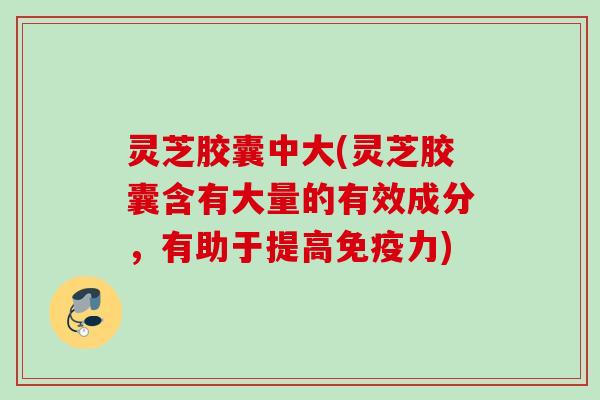灵芝胶囊中大(灵芝胶囊含有大量的有效成分，有助于提高免疫力)