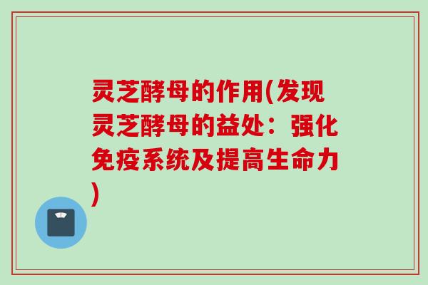 灵芝酵母的作用(发现灵芝酵母的益处：强化免疫系统及提高生命力)