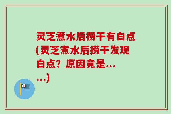 灵芝煮水后捞干有白点(灵芝煮水后捞干发现白点？原因竟是......)