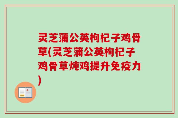 灵芝蒲公英枸杞子鸡骨草(灵芝蒲公英枸杞子鸡骨草炖鸡提升免疫力)