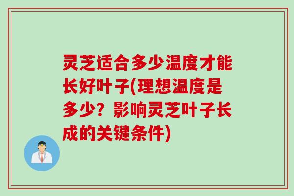 灵芝适合多少温度才能长好叶子(理想温度是多少?影响灵芝叶子长成的关键条件) 灵芝适合多少温度才能长好叶子(理想温度是多少?影响灵芝叶子长成的关键条件)