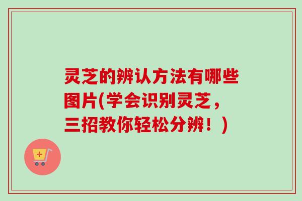 灵芝的辨认方法有哪些图片(学会识别灵芝,三招教你轻松分辨!) 灵芝的辨认方法有哪些图片(学会识别灵芝,三招教你轻松分辨!)