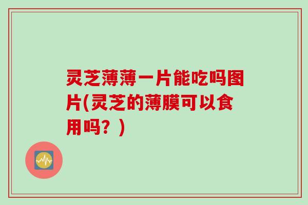 灵芝薄薄一片能吃吗图片(灵芝的薄膜可以食用吗?) 灵芝薄薄一片能吃吗图片(灵芝的薄膜可以食用吗?)
