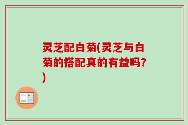 灵芝配白菊(灵芝与白菊的搭配真的有益吗？)