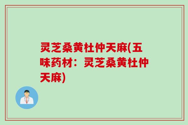 灵芝桑黄杜仲天麻(五味药材：灵芝桑黄杜仲天麻)