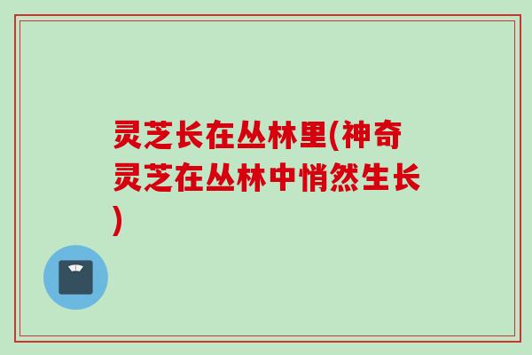 灵芝长在丛林里(神奇灵芝在丛林中悄然生长)