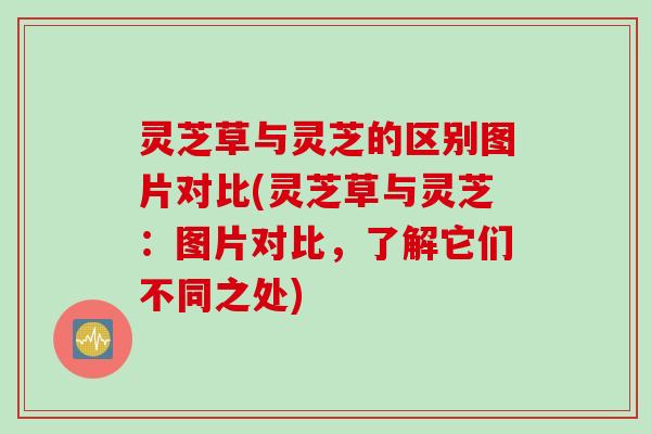 灵芝草与灵芝的区别图片对比(灵芝草与灵芝:图片对比,了解它们不同之处) 灵芝草与灵芝的区别图片对比(灵芝草与灵芝:图片对比,了解它们不同之处)
