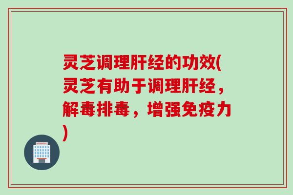 灵芝调理肝经的功效(灵芝有助于调理肝经，解毒排毒，增强免疫力)