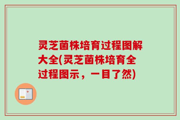 灵芝菌株培育过程图解大全(灵芝菌株培育全过程图示，一目了然)