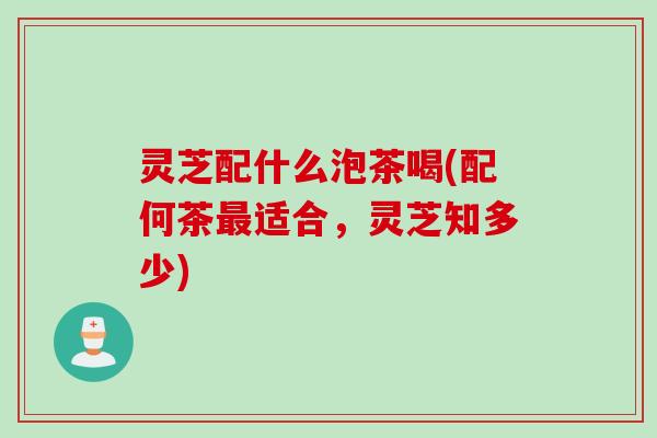灵芝配什么泡茶喝(配何茶适合，灵芝知多少)