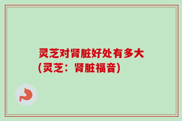 灵芝对肾脏好处有多大(灵芝：肾脏福音)