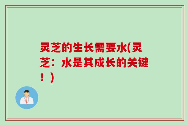 灵芝的生长需要水(灵芝：水是其成长的关键！)