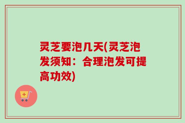 灵芝要泡几天(灵芝泡发须知：合理泡发可提高功效)