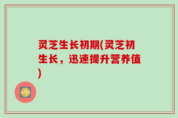灵芝生长初期(灵芝初生长，迅速提升营养值)