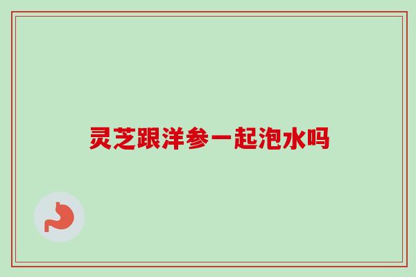 灵芝跟洋参一起泡水吗