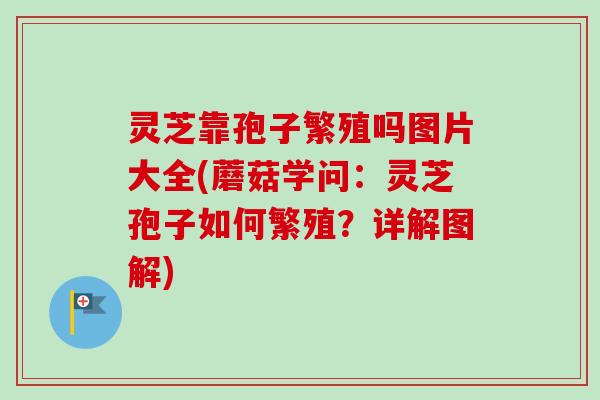 灵芝靠孢子繁殖吗图片大全(蘑菇学问：灵芝孢子如何繁殖？详解图解)