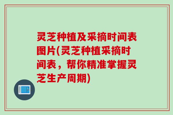 灵芝种植及采摘时间表图片(灵芝种植采摘时间表，帮你精准掌握灵芝生产周期)