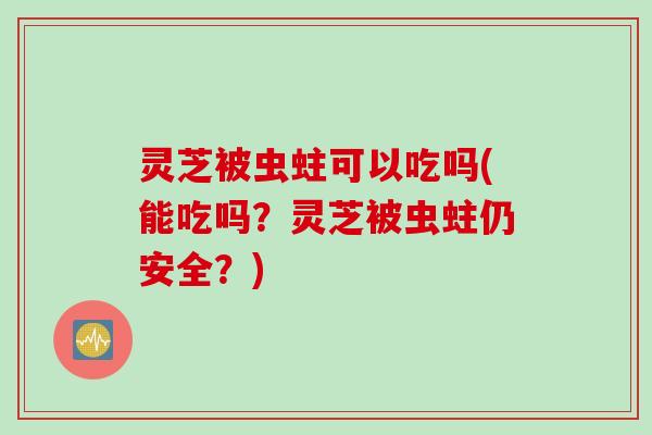 灵芝被虫蛀可以吃吗(能吃吗？灵芝被虫蛀仍安全？)