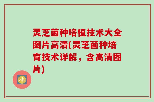 灵芝菌种培植技术大全图片高清(灵芝菌种培育技术详解，含高清图片)