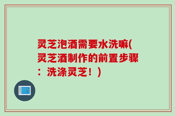 灵芝泡酒需要水洗嘛(灵芝酒制作的前置步骤：洗涤灵芝！)