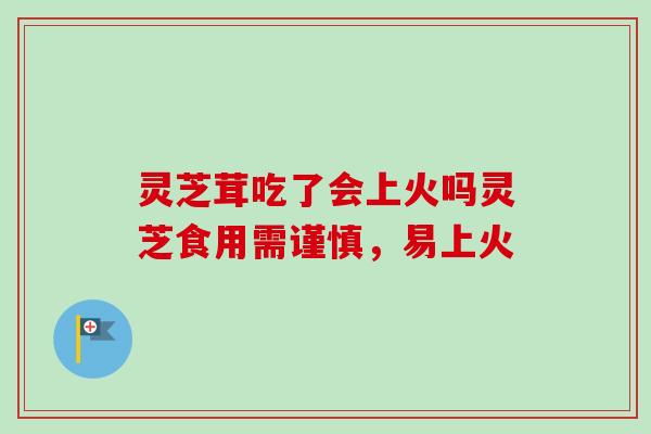 灵芝茸吃了会上火吗灵芝食用需谨慎，易上火
