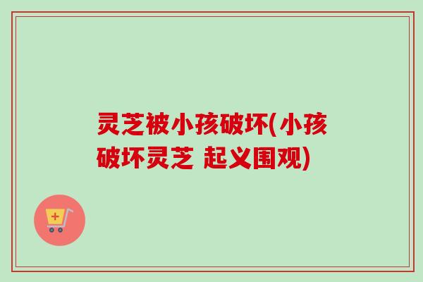 灵芝被小孩破坏(小孩破坏灵芝 起义围观)