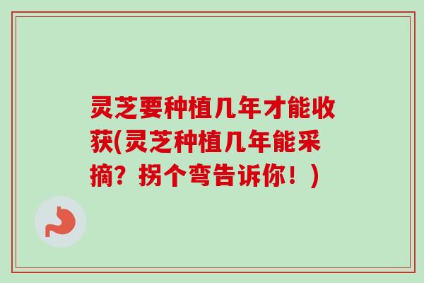 灵芝要种植几年才能收获(灵芝种植几年能采摘？拐个弯告诉你！)