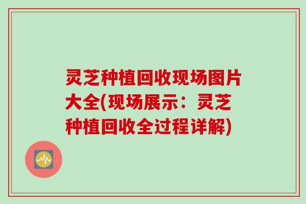灵芝种植回收现场图片大全(现场展示：灵芝种植回收全过程详解)