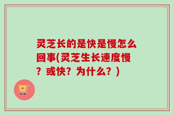 灵芝长的是快是慢怎么回事(灵芝生长速度慢？或快？为什么？)