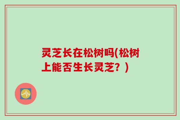 灵芝长在松树吗(松树上能否生长灵芝?) 灵芝长在松树吗(松树上能否生长灵芝?)