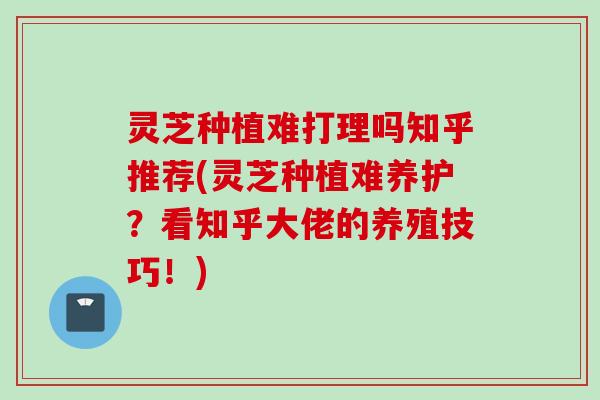 灵芝种植难打理吗知乎推荐(灵芝种植难养护？看知乎大佬的养殖技巧！)