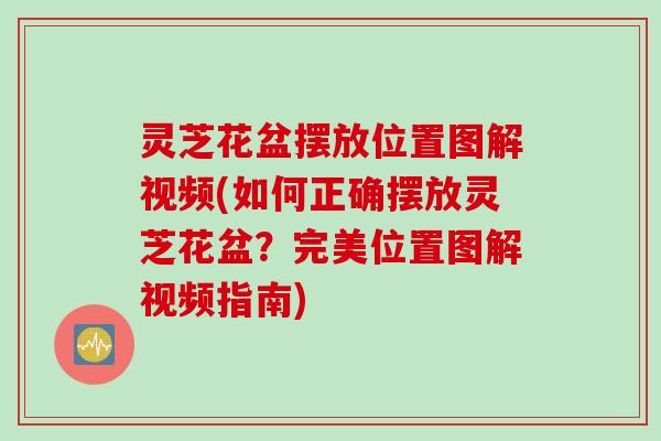灵芝花盆摆放位置图解视频(如何正确摆放灵芝花盆？完美位置图解视频指南)