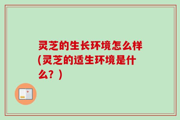 灵芝的生长环境怎么样(灵芝的适生环境是什么?) 灵芝的生长环境怎么样(灵芝的适生环境是什么?)