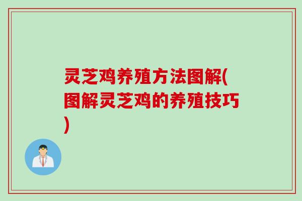 灵芝鸡养殖方法图解(图解灵芝鸡的养殖技巧)