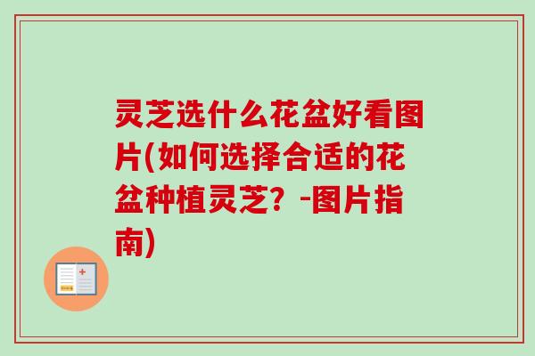 灵芝选什么花盆好看图片(如何选择合适的花盆种植灵芝？-图片指南)